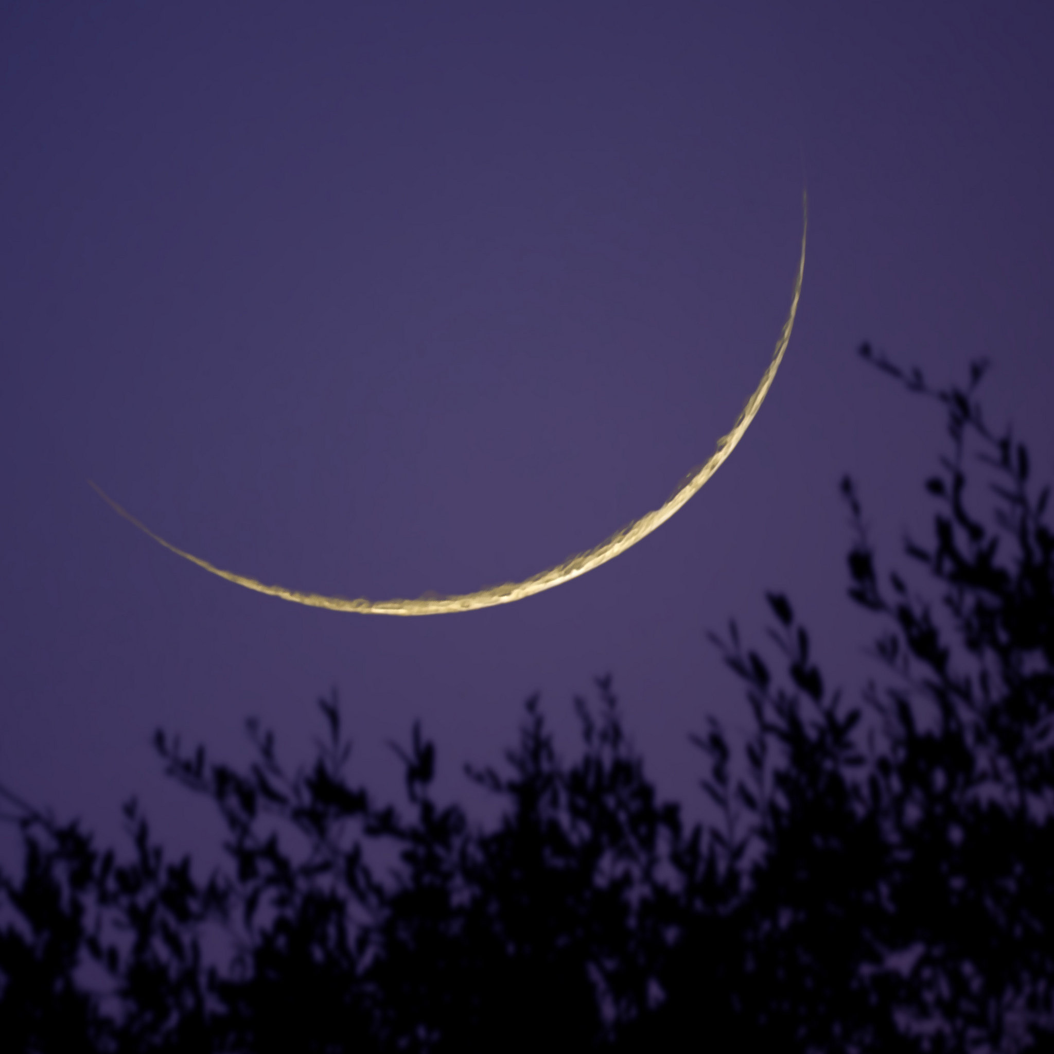 Thin crescent Moon
