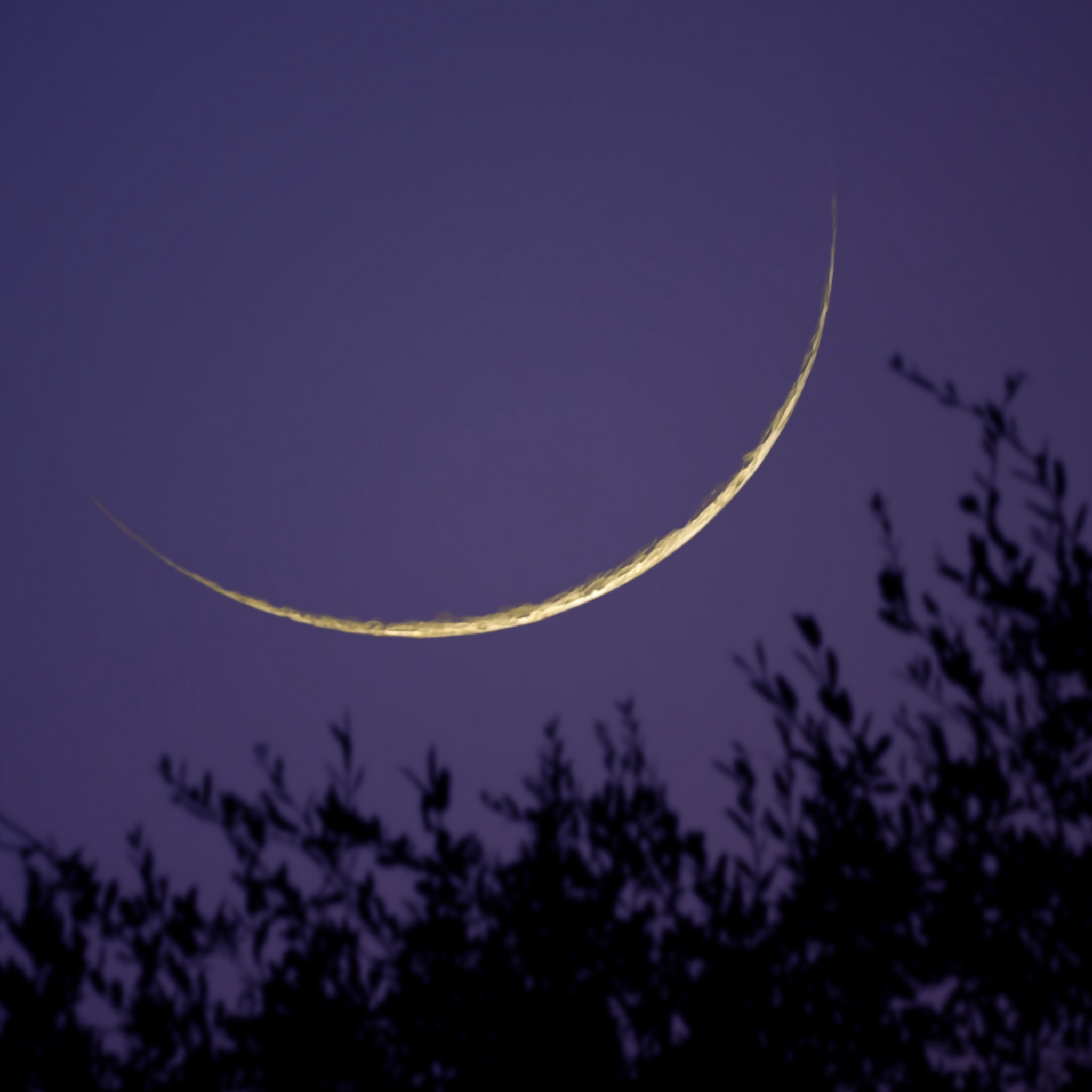 Why is the crescent moon sometimes lit on the bottom?