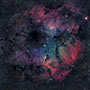 Elephant Trunk Nebula with the Garnet Star