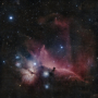 Horsehead & Flame Nebulae