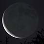 Spring Waning Crescent Moon with Earthshine